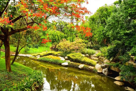 Apartments and flats for sale in Bangkok 10