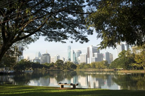 Apartments and flats for sale in Bangkok 13